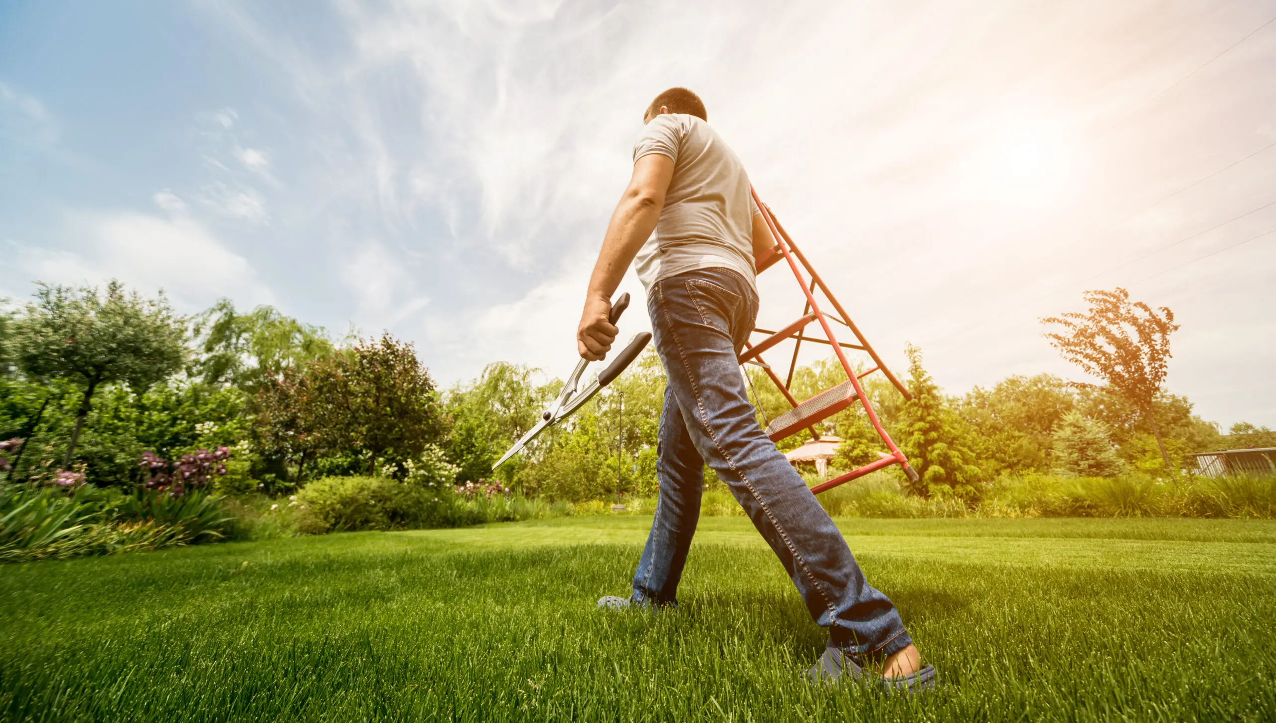 Man walking withe garden clippers and ladder across a wide, green field.